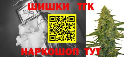 СК Моздок
