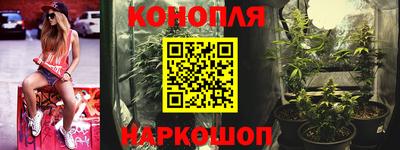 СК Моздок