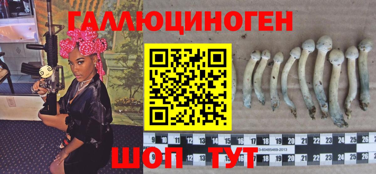 Озёры  Псилоцибиновые грибы MAGIC MUSHROOMS  Псилоцибиновые грибы прущие грибы  Вход с VPN 